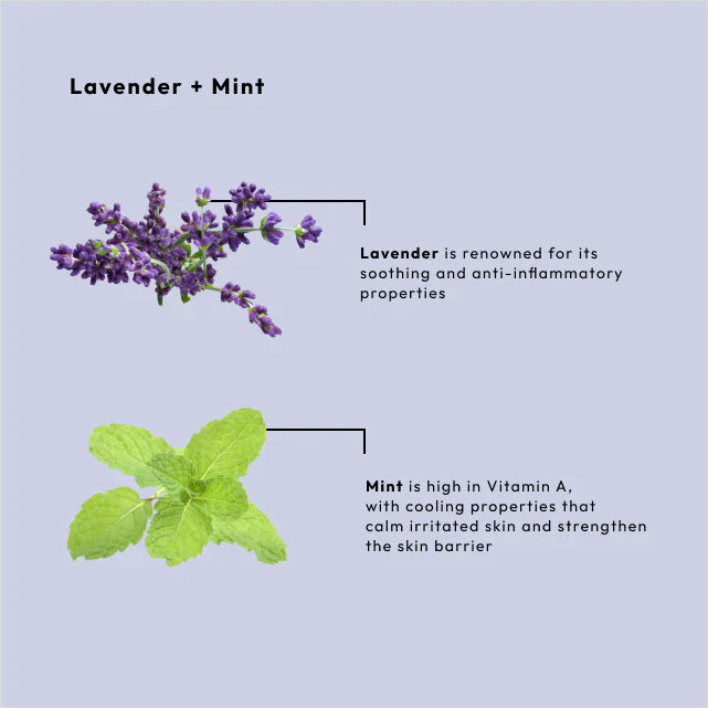 BCL SPA | MASSAGE CREAM | LAVENDER + MINT