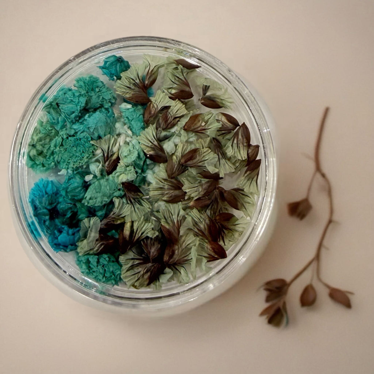 NAIL ART DESIGN | DRY FLOWER JAR