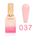 JACKIE SIGNATURE | SWEET BLOSSOM PASTEL GEL | SET OF 48